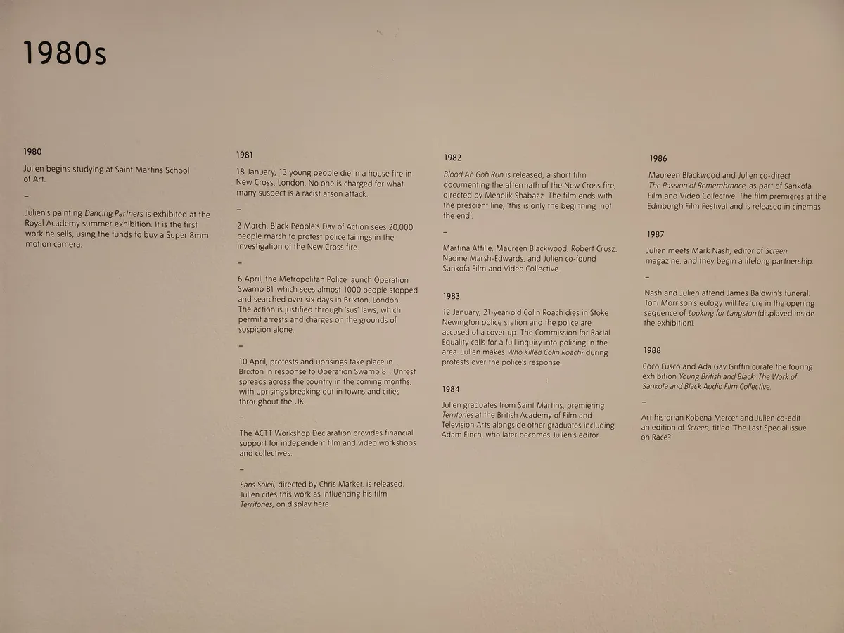 Isaac Julien Gallery Image 38
